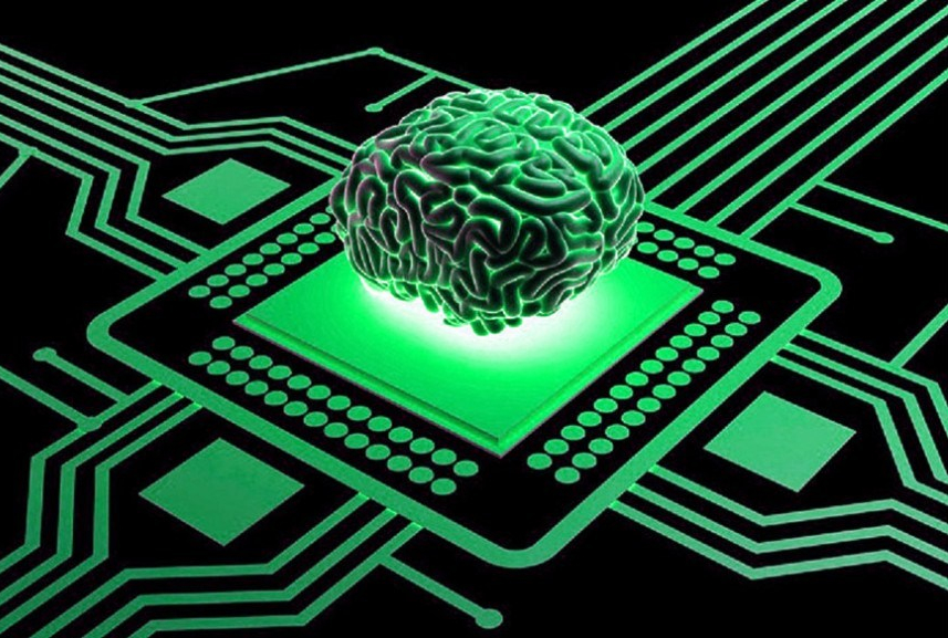 brain-on-a-chip-990x577-e1550973639984.jpg